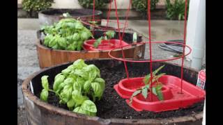 Apartment vegetable garden ideas