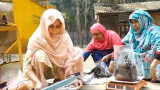 কমিউনিটি বেজড ভার্মিকম্পোট উৎপাদন - Community Based Vermi Compost Production