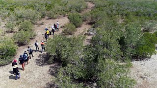 Kufufua Mikoko ya Lamu (Restoring Lamu's Mangroves) Swahili version