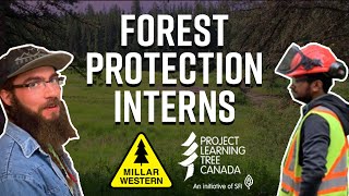 A Day in the Life of Forest Protection Interns