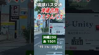 【魔改造・やらかし案件】テールレンズをやらかしてしまった 沖縄230あ1501