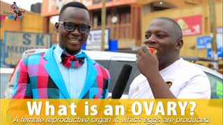 What is an Ovary? Teacher Mpamire on the Street