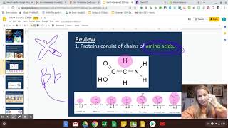 Unit 14 Genetics 2 Part E: How Are Genes "Expressed"?