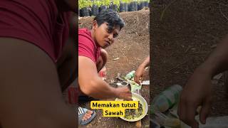 MENCARI TUTUT SAWAH  #part14 #shortsvideo