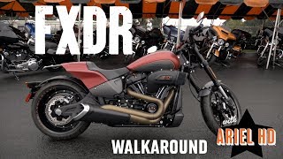 New Motorcycle for Sale - Harley-Davidson 2019 FXDR - stock #D21095