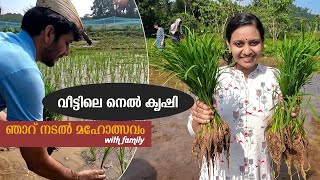 ഞാറ് നടൽ മഹോത്സവം with family 🌾വീട്ടിലെ നെൽ കൃഷി part1|family vlog| seedling transplantation|