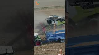 Farm Harvester|The Secret of the Super Combine Machine|Claas Lexion 8900 #farm #farming #agriculture