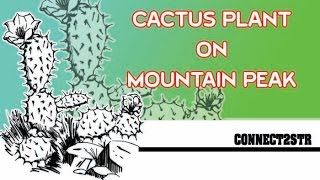 2. Cactus on Mountain Top_Nature@Connect2STR