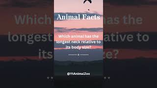 Unveiling the Wonders Incredible Animal Facts Revealed Engaging Wildlife Trivia 81