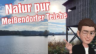 Wandern in Niedersachsen - Meißendorfer Teiche | Heideregion - Rundtour #nature #hiking #germany