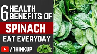 What Happens To Your Body When You Eat Spinach Every Day