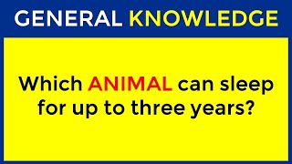 How Good Is Your General Knowledge? Take This 30-question Quiz To Find Out! #challenge 1