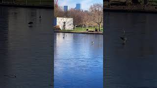 Frozen Lake Central London UK