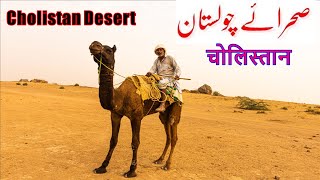 The Cholistan Desert of Pakistan (locally known as Rohi),   روہی ,  چولستان