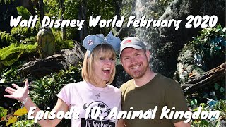 Walt Disney World February 2020 | Episode 10 | Animal Kingdom and Yak & Yeti