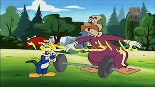 نقار الخشب  وودي بيكر بالعربي  حلقة6  woodpecker cartoon 1080 HD