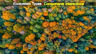 Interaction Between Components of ecosystem | Abiotic Ecosystem | Biodiversity ecosystems | ecology