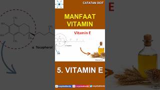 5 Vitamin E