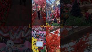 Bellagio Lunar New Year display! #bellagiovega #bellagiolunarnewyear #lasvegasstrip