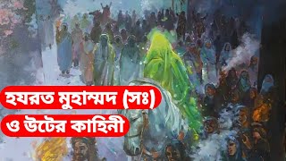 মোহাম্মদ (সঃ) এর মোজেজা||hazrat muhammad (saw)||Pankouri News||