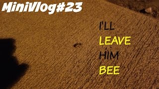 MiniVlog#23-I'LL LEAVE HIM BEE