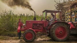 King MTZ Belarus Stunt | Tractor Powerful Stunt With Loaded Sugarcane Trolley