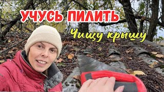 Слизни съели урожай | Ходили в лес за грибами | Дом из детства | КУПИЛИ ДОМ В ДЕРЕВНЕ