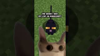 pets are core to the minecraft experience