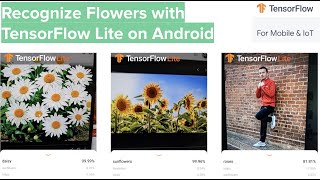 Recognize Flowers with TensorFlow Lite on Android 🌹💐😀