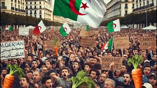 💥#لايف سياسة ولاقتصاد 🇩🇿💥🇲🇦#أحرار_الجزائر 🇩🇿 تاريخه#نقاش_سياسي_اقتصادي مع أذكى أغبياء الدجزائر#تبون