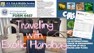 HOW TO TRAVEL WITH EXOTIC HANDBAG 🐊👜 CITES, LICENSE + PERMIT, CBP Form 4457