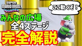 【みんなの広場】激ムズの隠しコインの場所を全て教えます【スーパーマリオブラザーズ ワンダー】