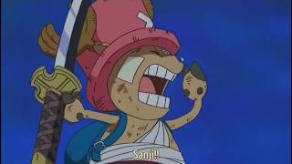 One piece- Chopper funny scene-252-