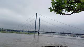 Rhein bei Rheinuferpromenade Düsseldorf 01.06.2024