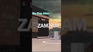 Fact about Zamzam! Subhan Allah 🕋🥰 #zamzam #love #shorts #short #shortvideo #shortsvideo #mecca