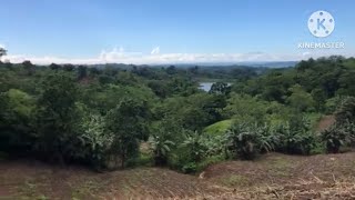 Umakyat sa bukid para Kumuha nang fresh vegetables buhay probinsya.