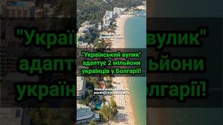 "Український вулик" адаптує 2 мільйони українців у Болгарії!  #болгарія  #біженцізукраїни