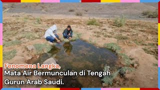 Fenomena Langka, Mata Air Bermunculan di Tengah Gurun Arab Saudi.