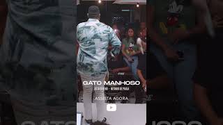 Clipe de "Gato Manhoso" já está disponível! Corre e confere! #shorts