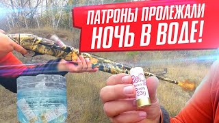 Положил патроны в воду. Выстрелит?