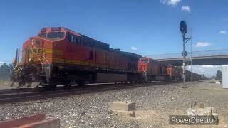 Trains in Roseville, CP Swanston, and CP Polk Ft. CN 3225 and NS