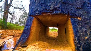 How to Turn a Tree Stump Into a Rocket Stove