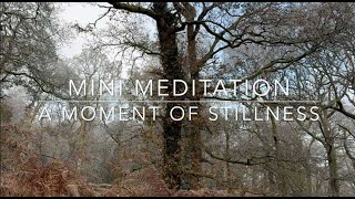 Mini Meditation   A Moment of Stillness  One Minute