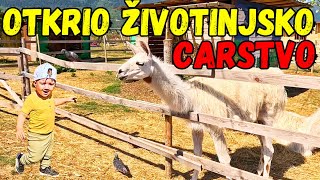 UNUK SE PRVI PUT UŽIVO SUSREĆE SA ŽIVOTINJAMA  I  ZOO BAMBI HRASNICA