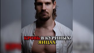 ❗️ОТКУДА КРОВЬ В КУРИНЫХ ЯИЦАХ?