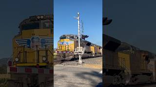 UP Intermodal hauling through the Utah plains at high speeds #upcomingvideo #unionpacific #utah