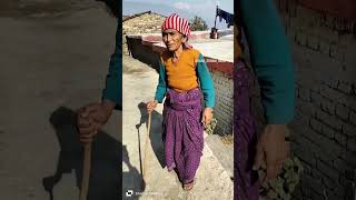 New Garhwali song || Ja Ghughuti Udi Ja  | Chanu da pahadi #shorts #song #viral #subscribe