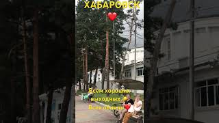 ХАБАРОВСК 9.08.24/ВСЕМ ХОРОШИХ ВЫХОДНЫХ☀️/ПЕРЕХОДИТЕ НА BOOSTY ХАБАРОВСК И ТОЧКА/ВИДЕО ВСЕ ТАМ😉