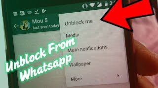 Unblock Yourself on Whatsapp from others Whatsapp!! 😲