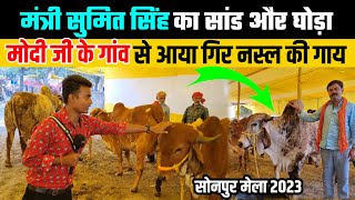 Sonpur mela 2023 मे आया मंत्री जी का सांड, गिर गाय | sonepur mela | cow market | sonpur mela theatre